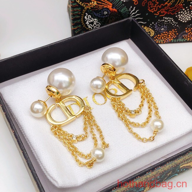 Dior Earrings CE12385