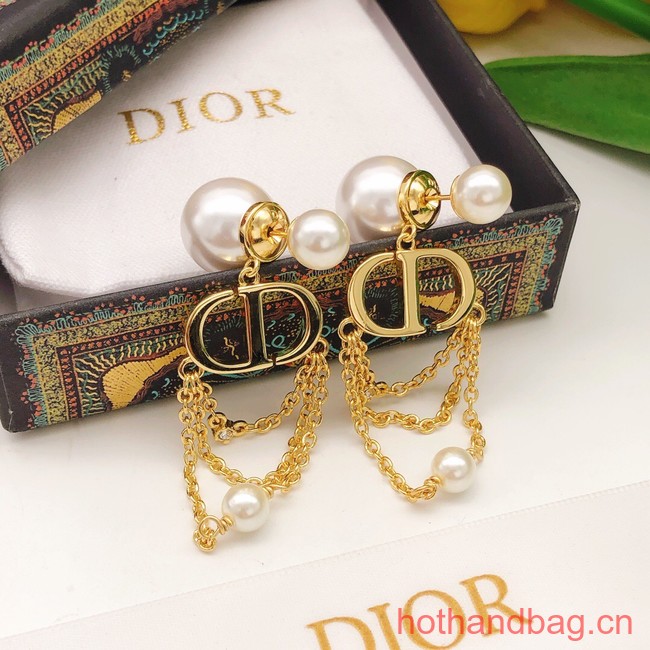 Dior Earrings CE12385