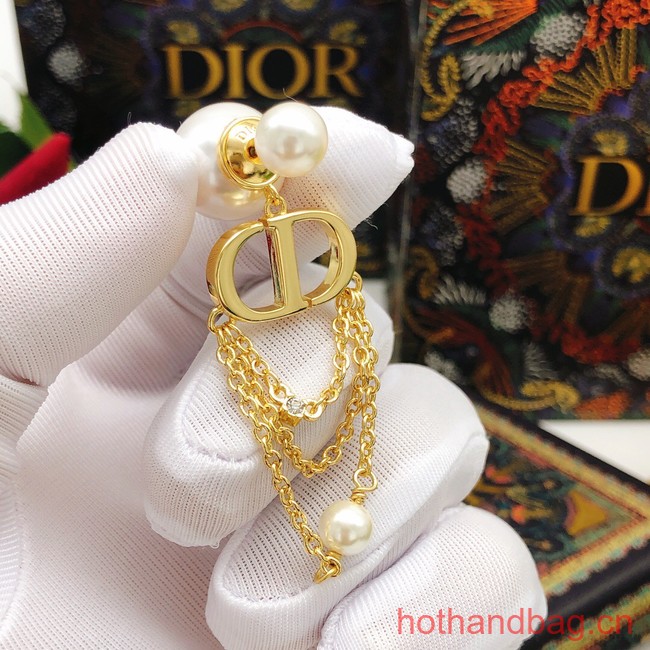 Dior Earrings CE12385