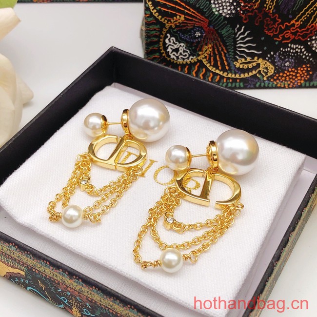 Dior Earrings CE12385