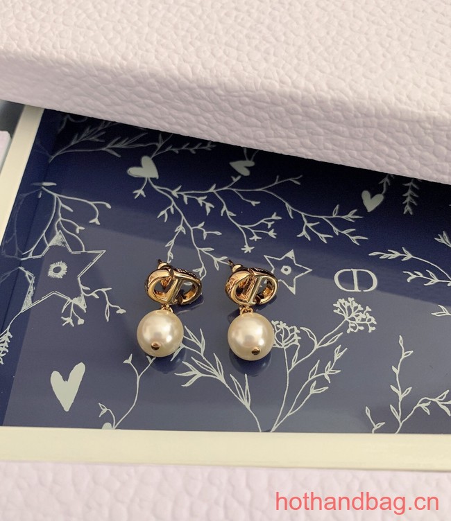 Dior Earrings CE12487