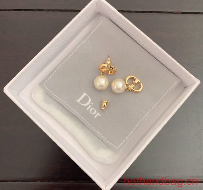 Dior Earrings CE12487