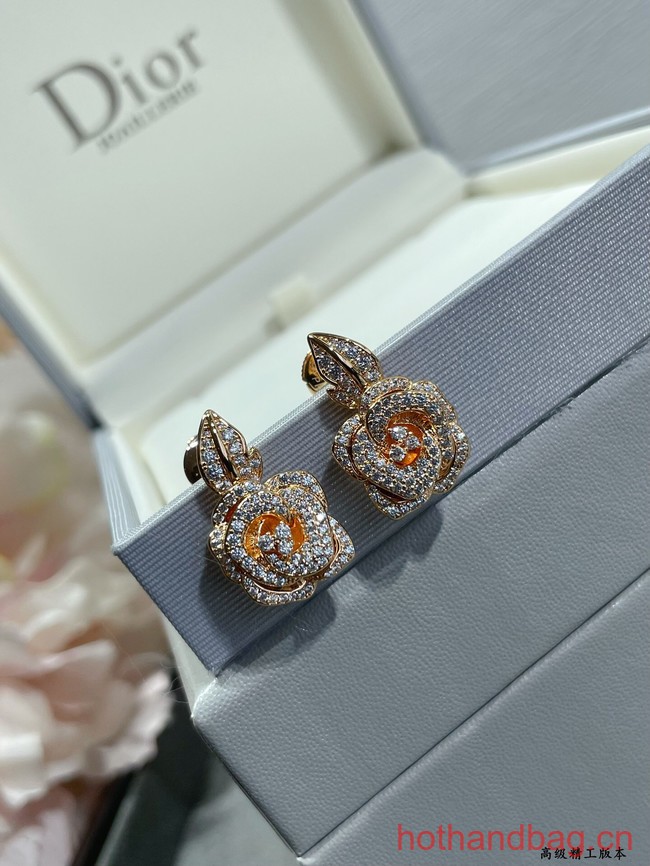 Dior Earrings CE12547