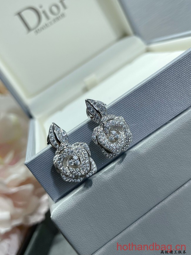 Dior Earrings CE12547