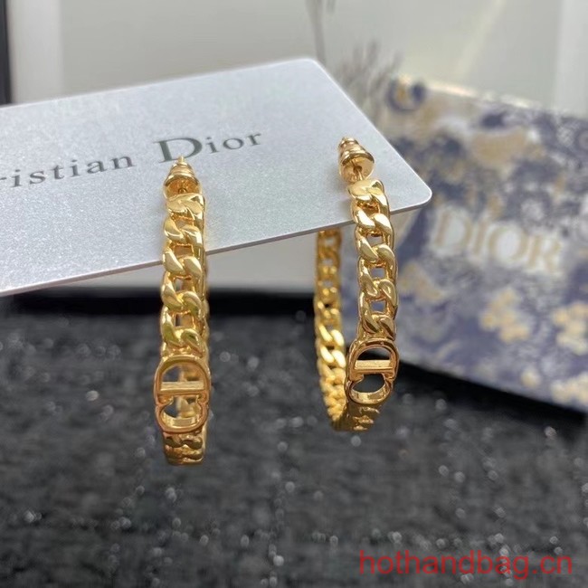 Dior Earrings CE12598