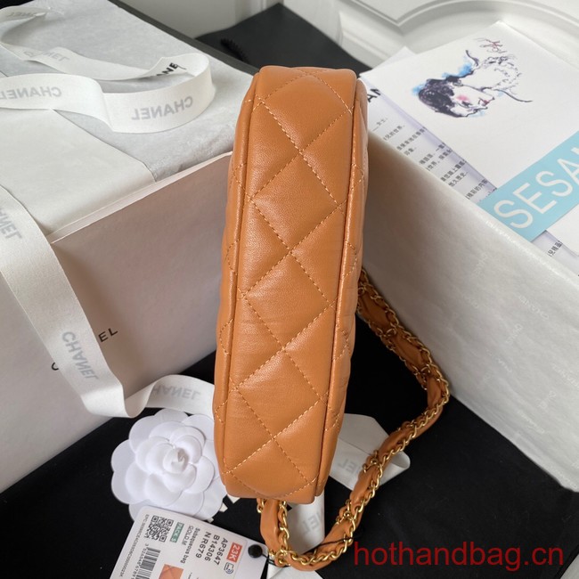 Chanel SMALL HOBO HANDBAG AP3647 brown