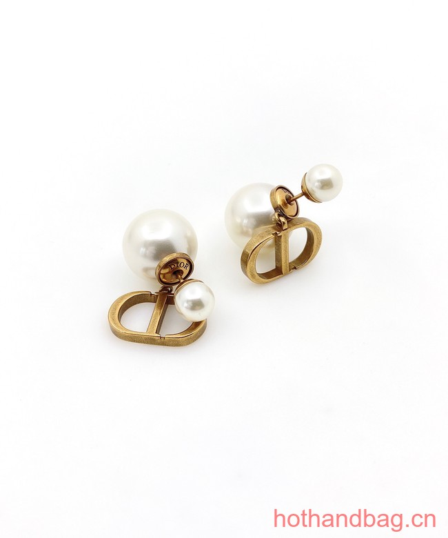 Dior Earrings CE12829