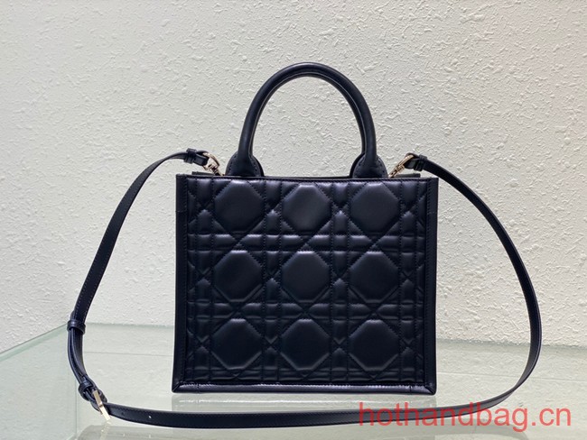 SMALL DIOR BOOK TOTE Black Calfskin M1295ZG