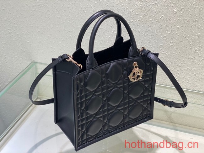 SMALL DIOR BOOK TOTE Black Calfskin M1295ZG