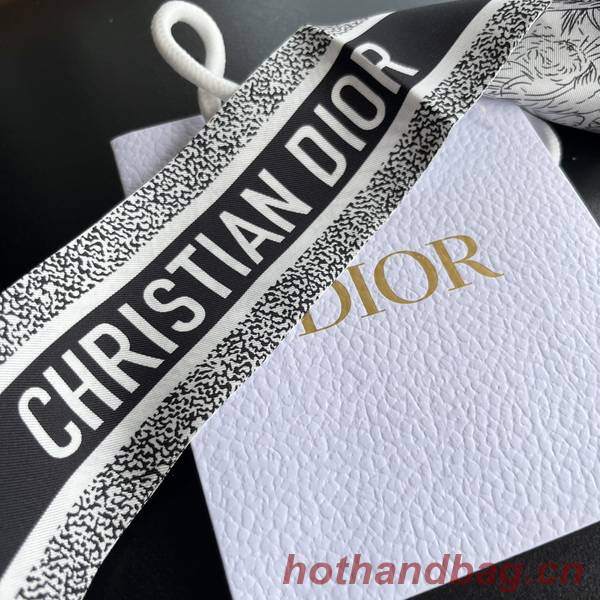 Dior Scarf DIC00213