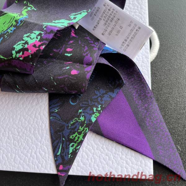 Dior Scarf DIC00215