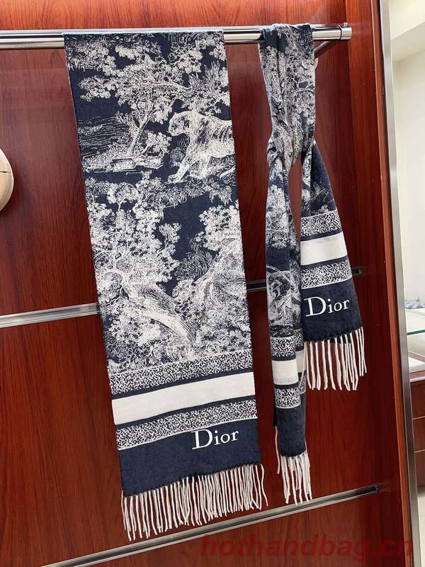 Dior Scarf DIC00216