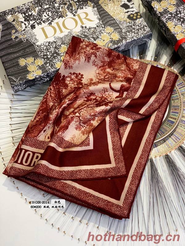 Dior Scarf DIC00245