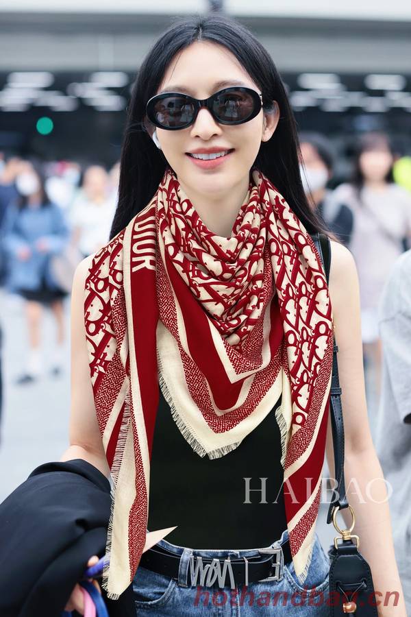 Dior Scarf DIC00273