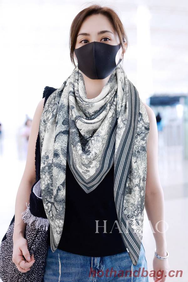 Dior Scarf DIC00324