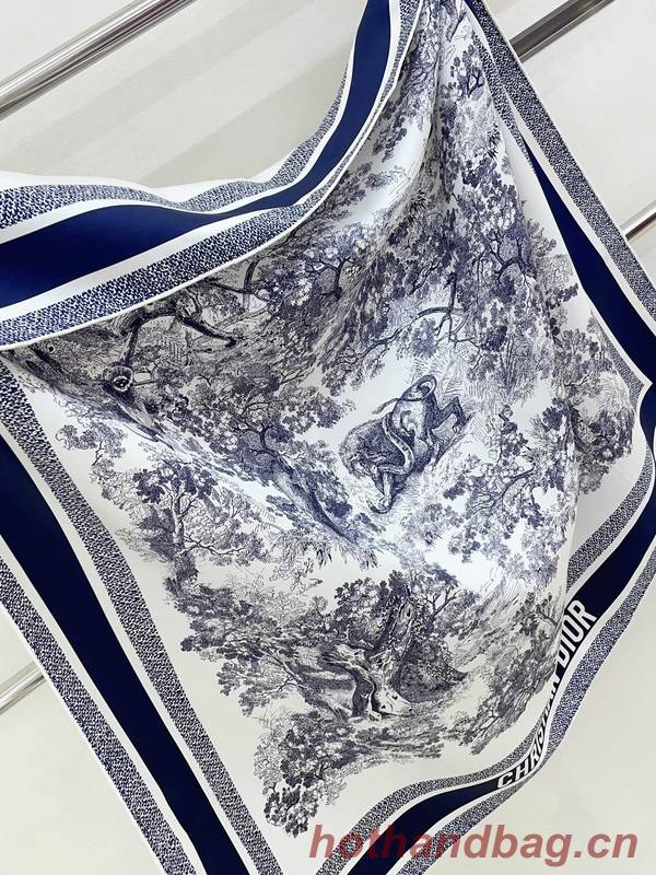 Dior Scarf DIC00332