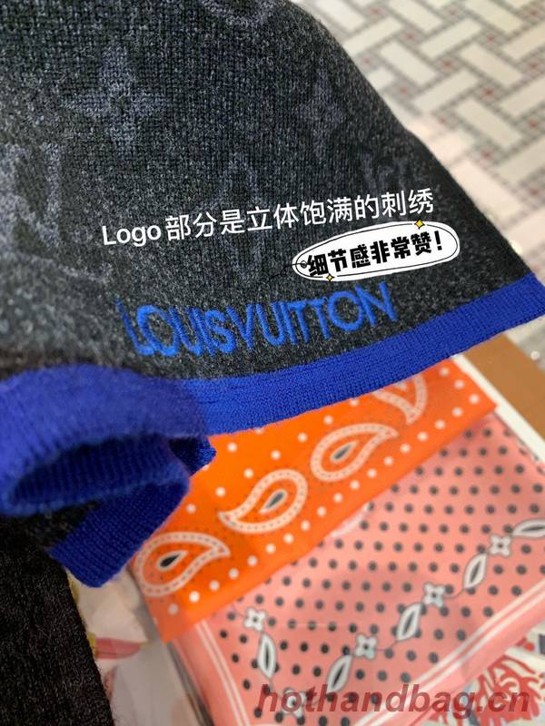 Louis Vuitton Scarf LVC00375