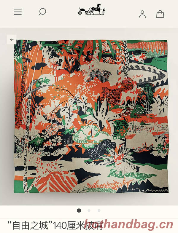 Hermes Scarf HEC00810