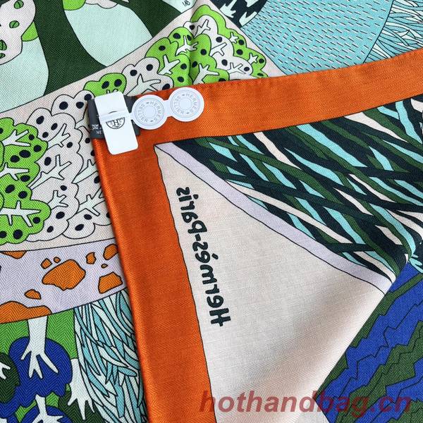 Hermes Scarf HEC00914