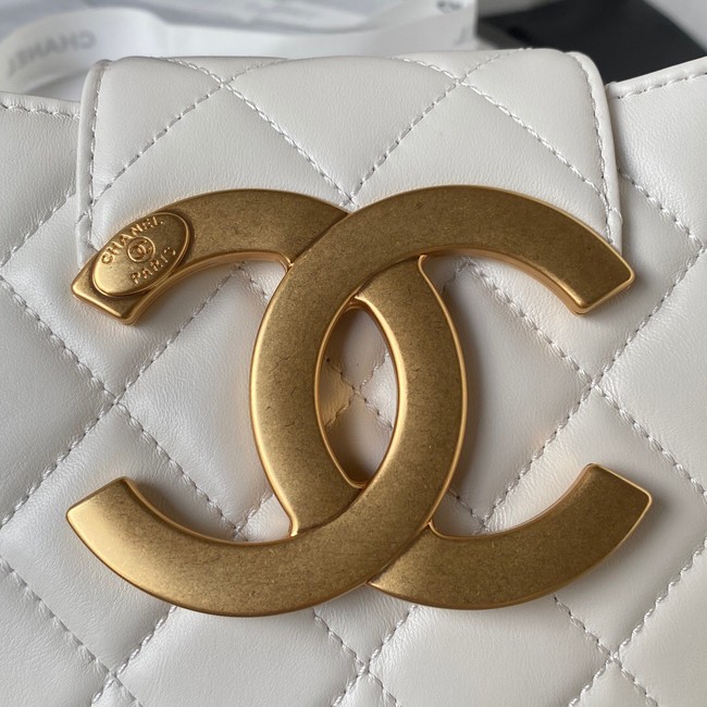 Chanel SMALL MESSENGER BAG AS4609 white