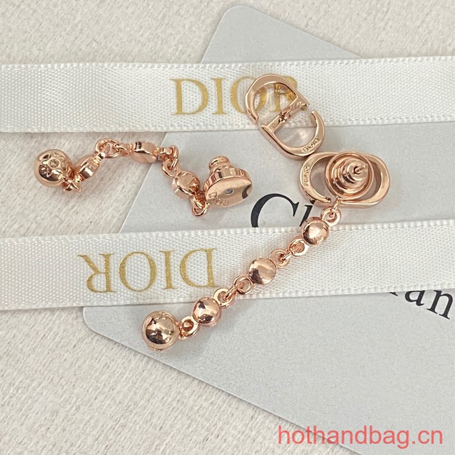 Dior Earrings CE12919