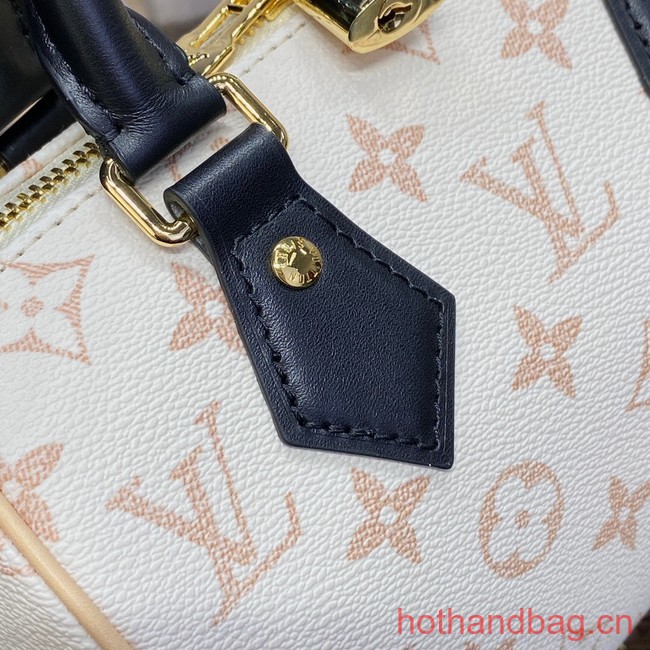 Louis Vuitton Speedy 20 M46906 Beige