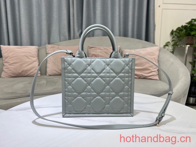 SMALL DIOR BOOK TOTE Calfskin M1295ZG gray