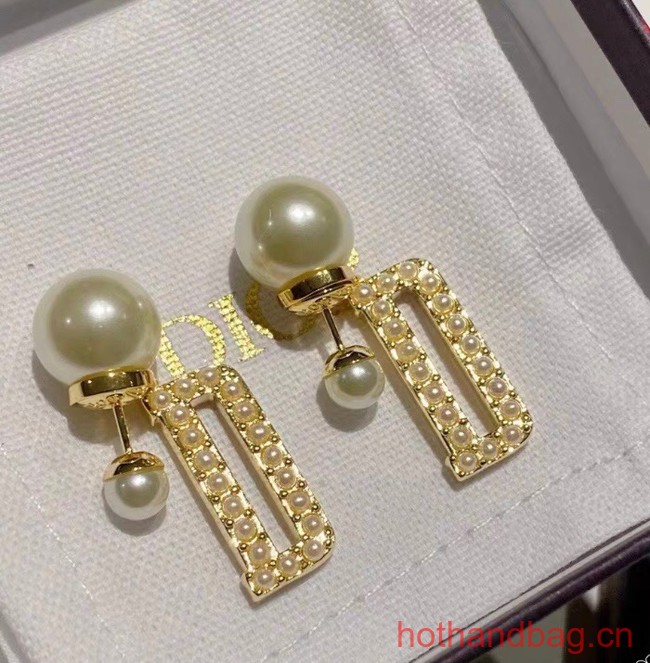 Dior Earrings CE12949