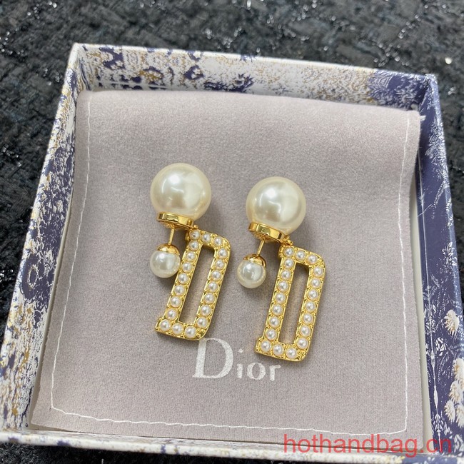 Dior Earrings CE12949