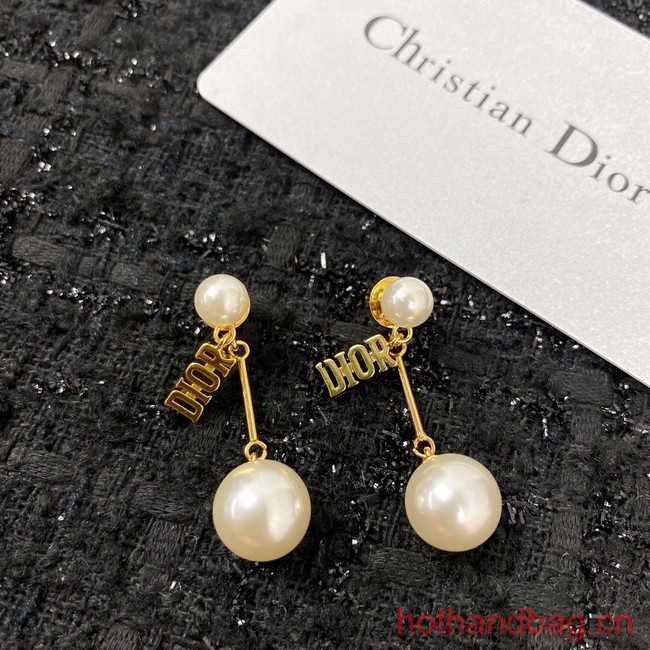 Dior Earrings CE12952