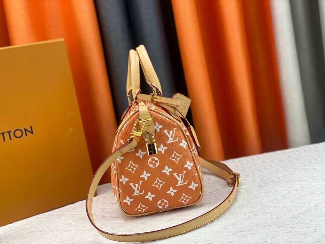 Louis Vuitton LV2024 Speedy 25 M24424 Orange