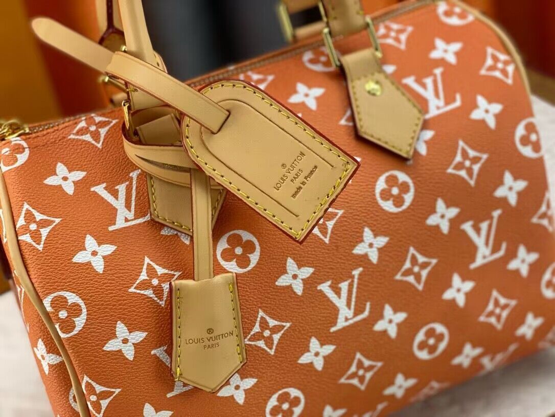 Louis Vuitton LV2024 Speedy 25 M24424 Orange