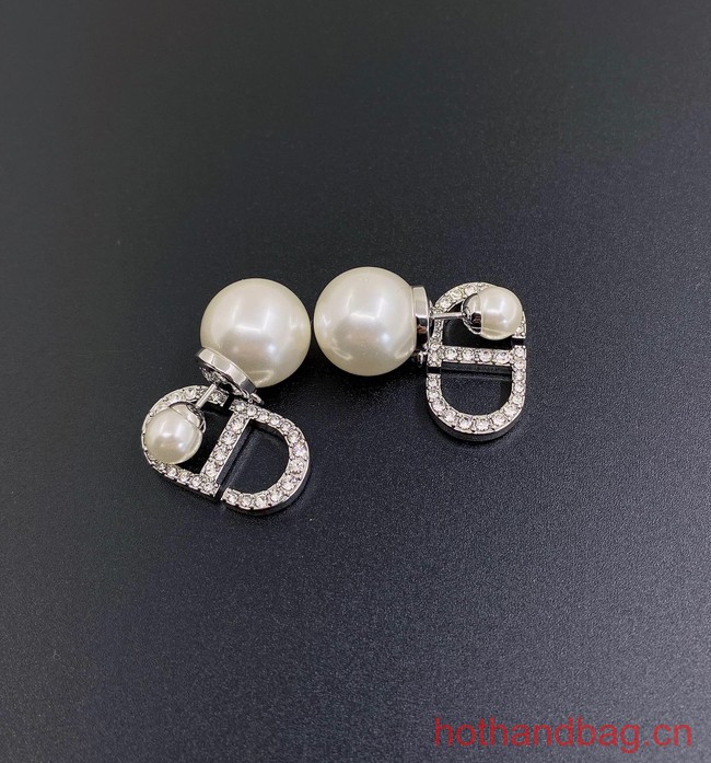 Dior Earrings CE13048