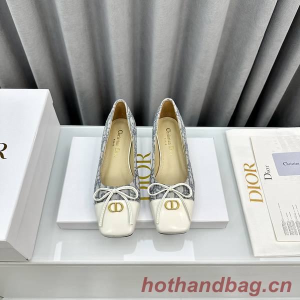 Dior Shoes DIS00245