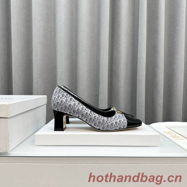 Dior Shoes DIS00248