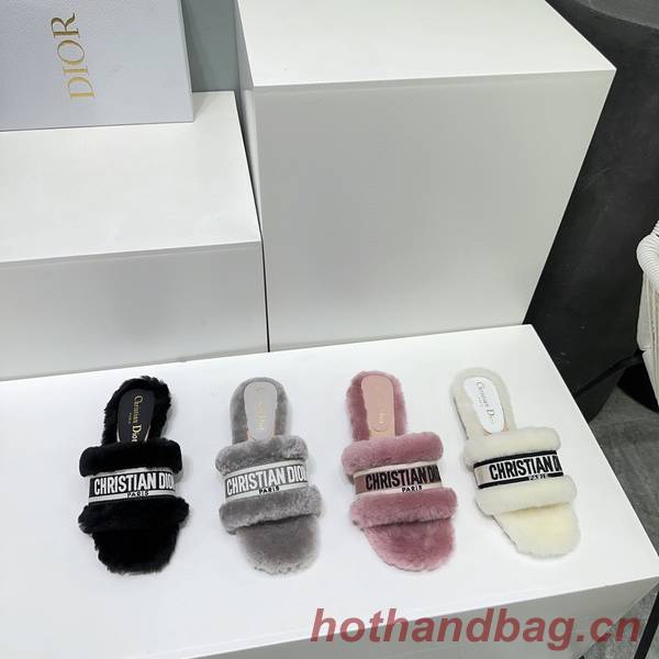 Dior Shoes DIS00303