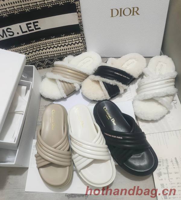 Dior Shoes DIS00308