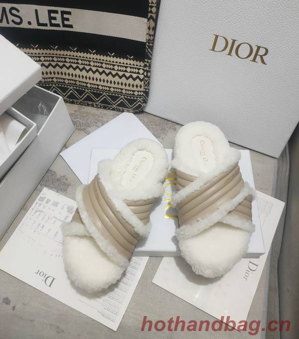 Dior Shoes DIS00311