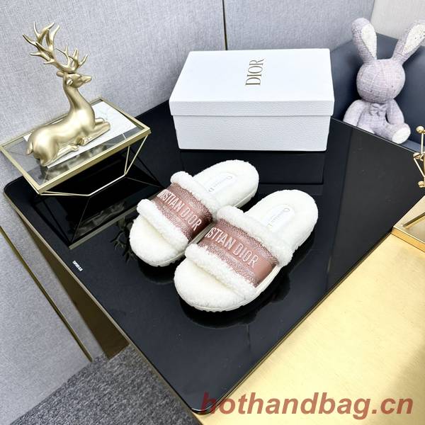 Dior Shoes DIS00319