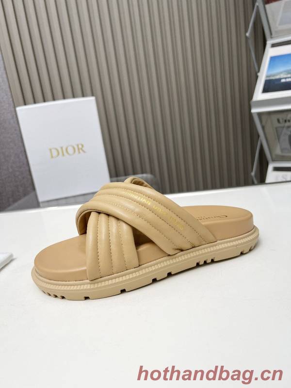 Dior Shoes DIS00339