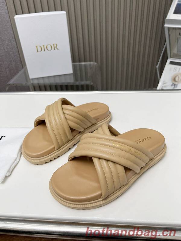 Dior Shoes DIS00339