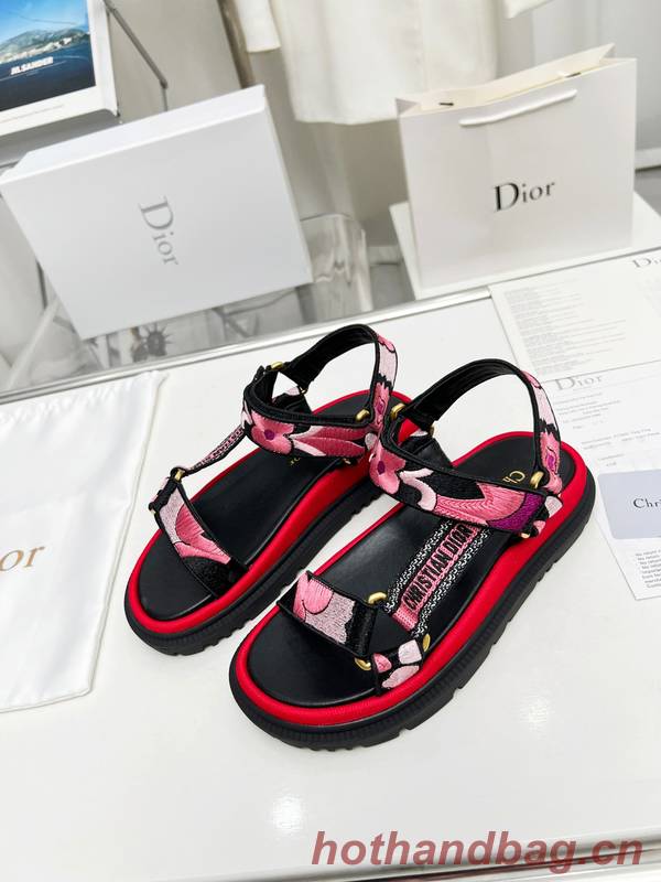 Dior Shoes DIS00344