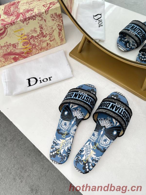 Dior Shoes DIS00349