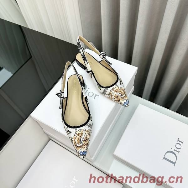 Dior Shoes DIS00360