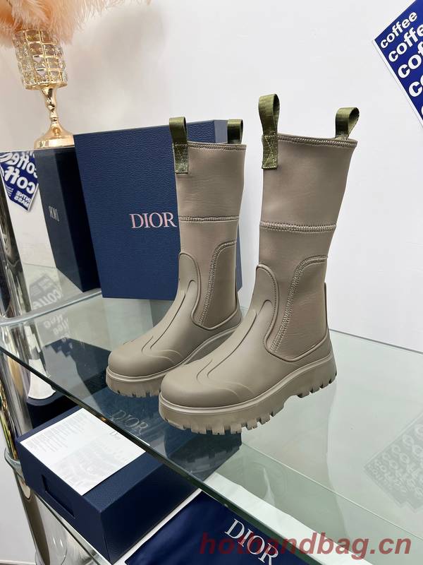 Dior Shoes DIS00415