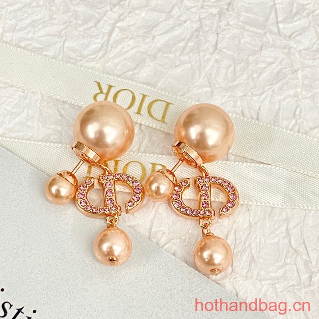 Dior Earrings CE13059