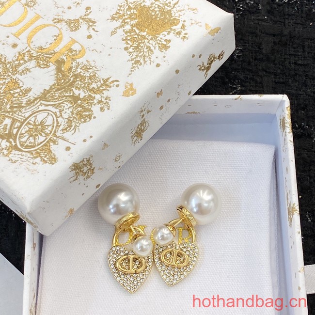 Dior Earrings CE13093