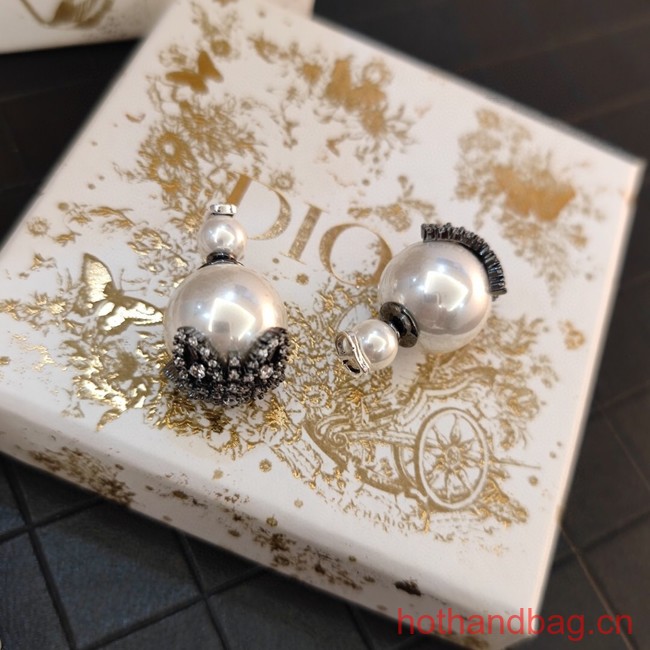 Dior Earrings CE13120