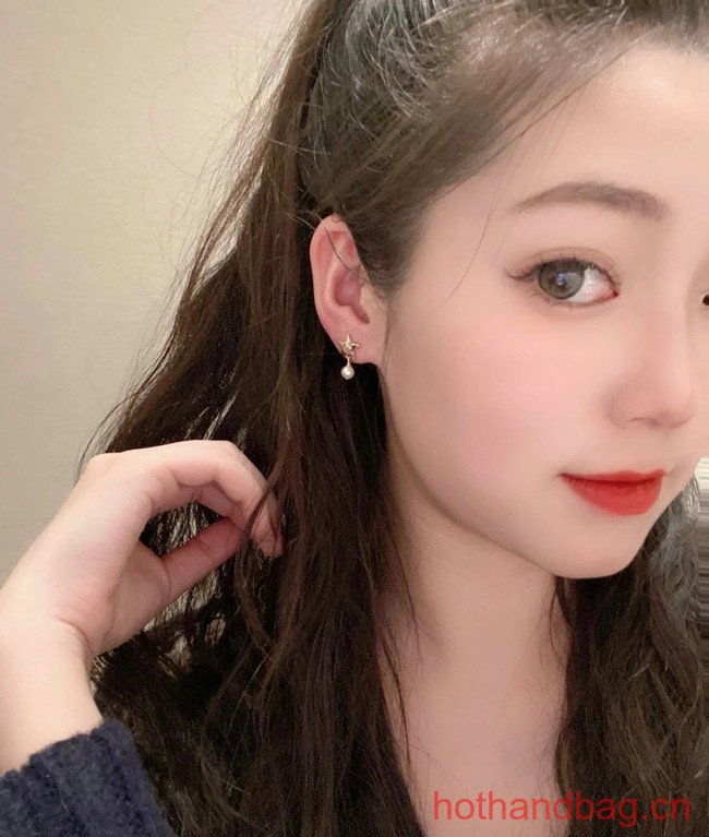 Dior Earrings CE13129