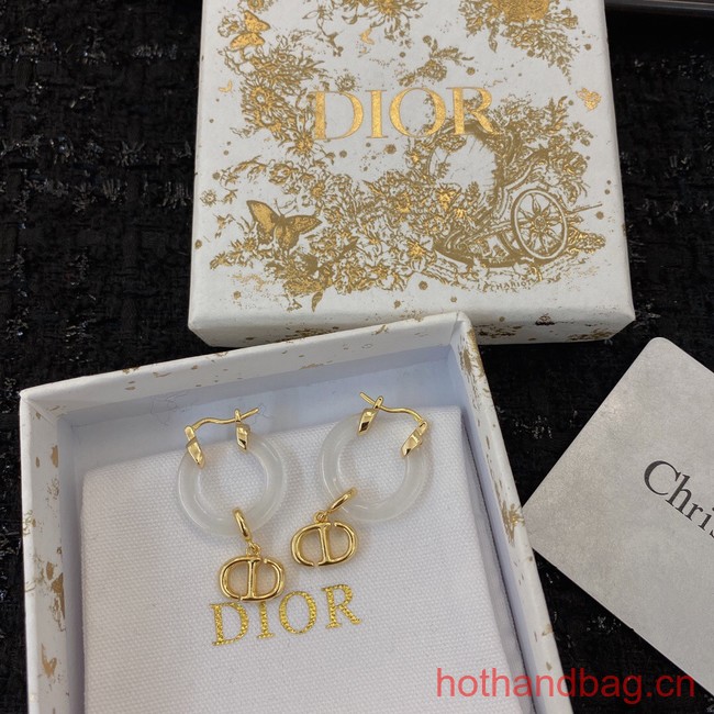 Dior Earrings CE13155